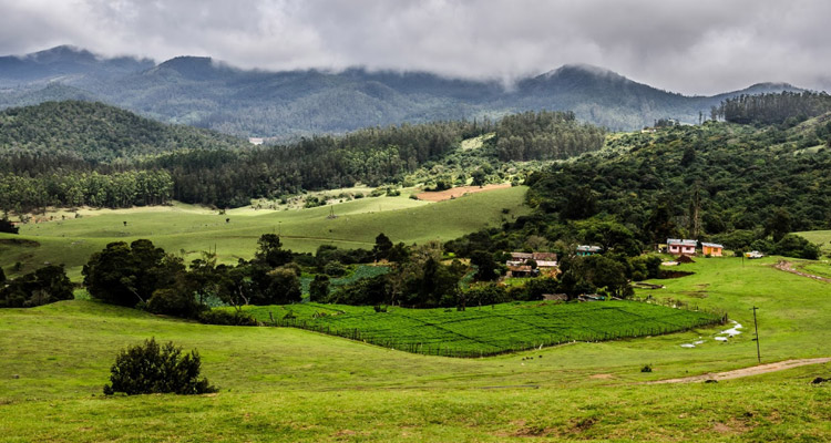 Wenlock Downs Ooty, Entry Fee, Timings, Entry Ticket Cost, Price - Ooty  Tourism 2021