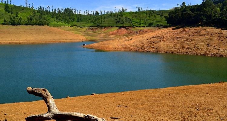 1 Day Ooty with Avalanche Lake