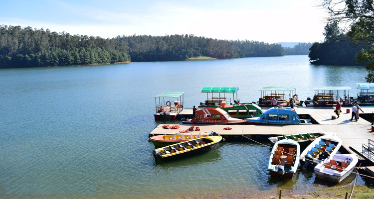 2 Day Ooty with Pykara Lake \ Boat Club