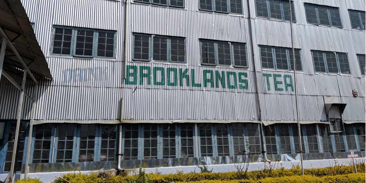 Brooklands Tea Factory Coonoor Tourist Attraction