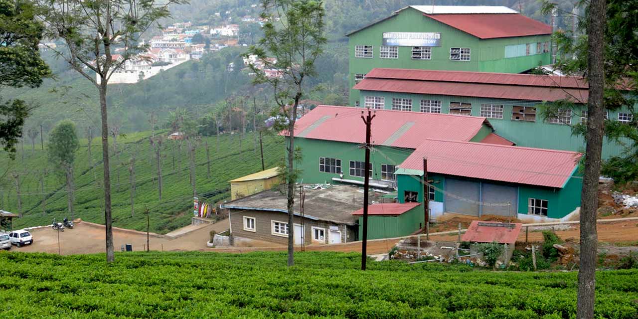 Highfield Tea Factory, Coonoor