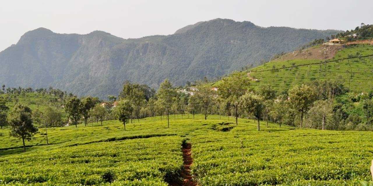 Lady Canning's Seat Coonoor Tourist Attraction