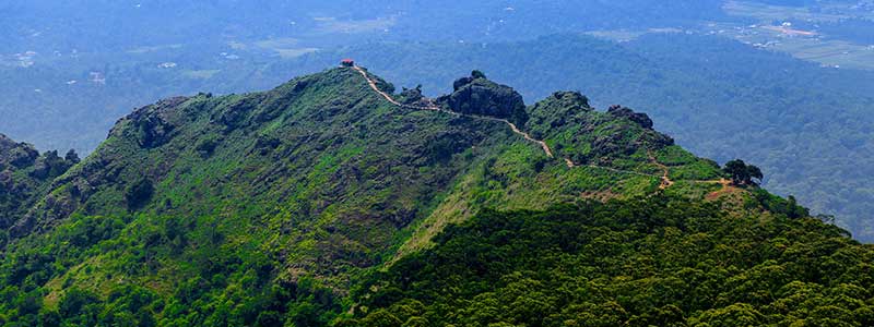 Ooty Needle View Hillpoint Tourist Attraction