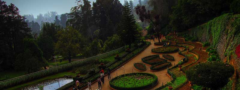 Botanical gardens cost