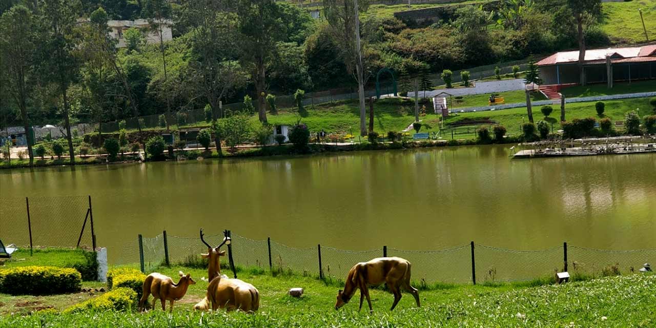 Wellington Lake Coonoor Tourist Attraction