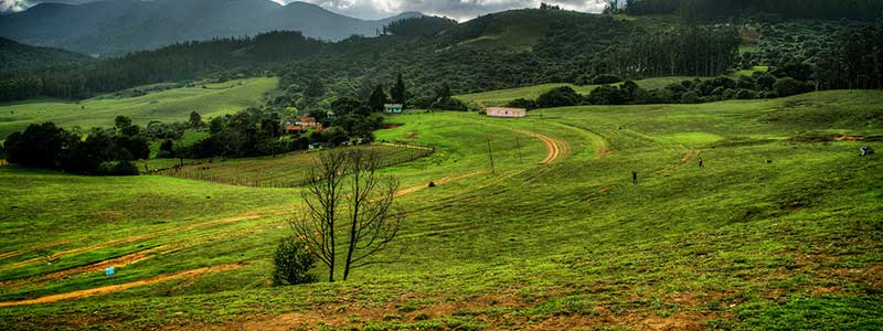 Wenlock Downs Ooty Tourist Attraction