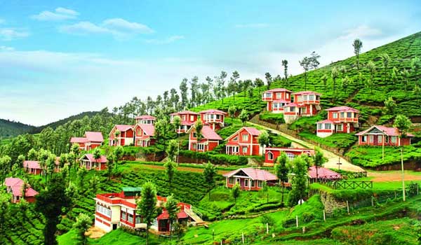 travel package for ooty