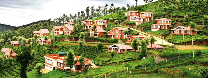 Romantic Ooty Honeymoon Package For 2 Nights And 3 Days Ooty Tourism 2023