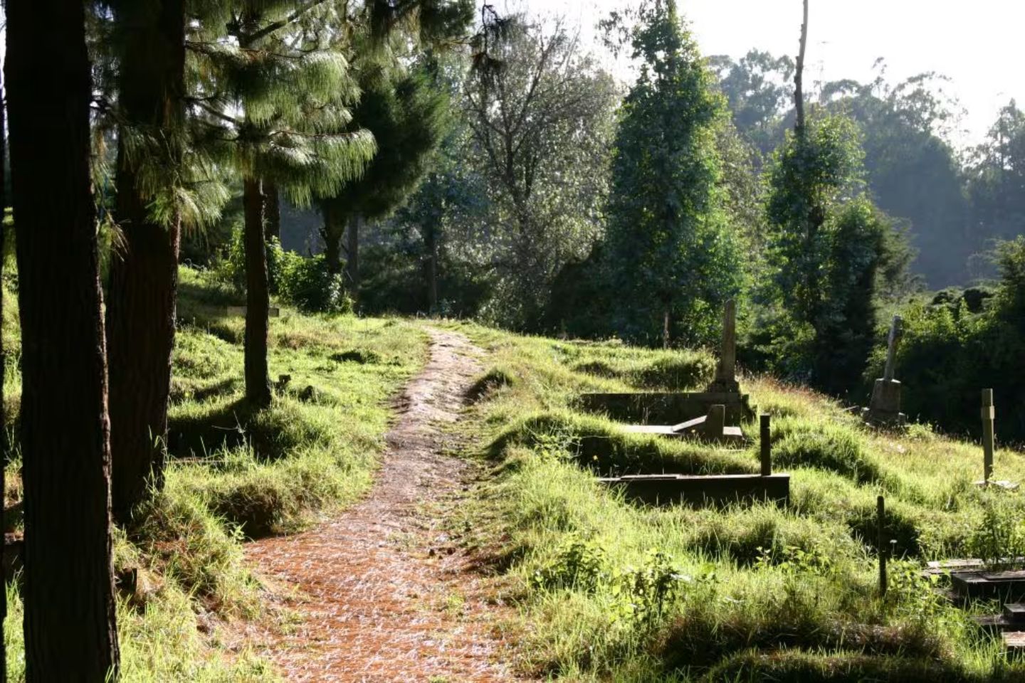 Maclvor’s Bund Ooty