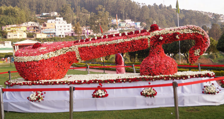 Ooty Rose Garden - Ooty Hills Station Darshan Cab - Ooty Local Sightseeing Cabs.cabsrental.in