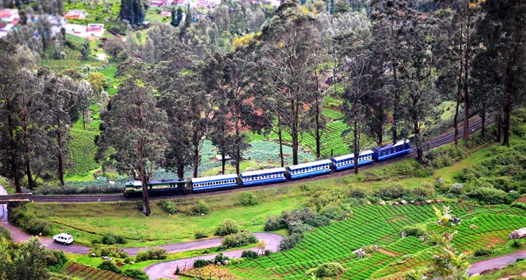 places to visit in ooty toy train