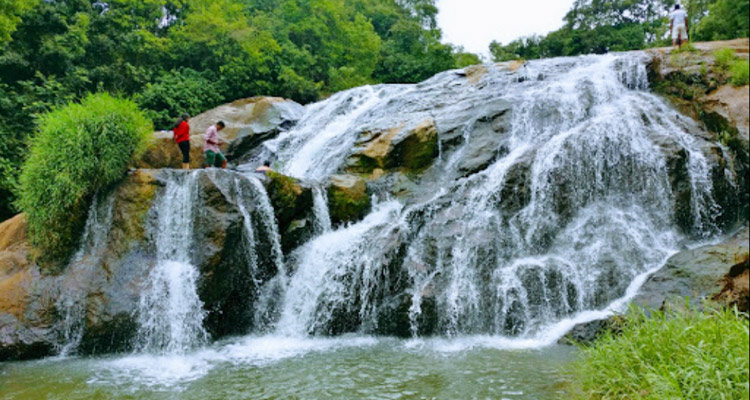 ooty tourist places entry fee