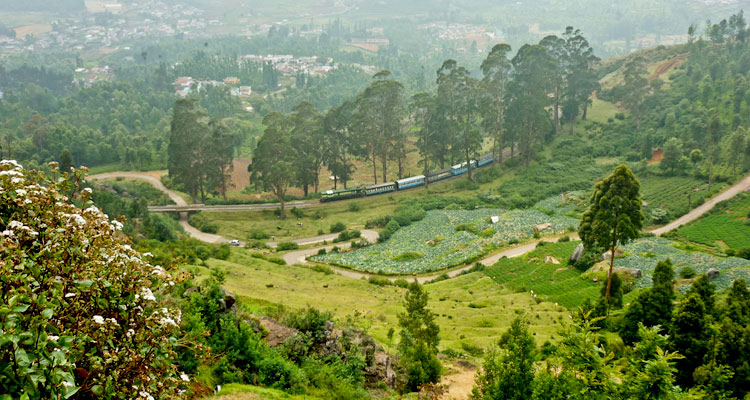 places to visit in ketti valley ooty