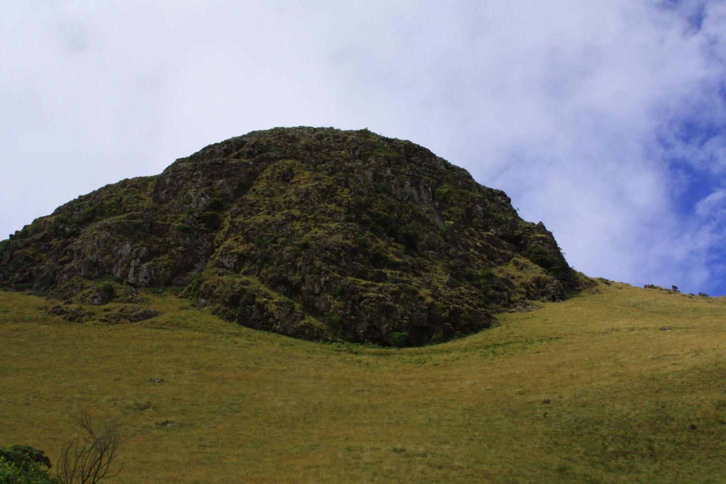 Mukurthi Peak Ooty (Entry Fee, Timings, Best Time to Visit, Location ...