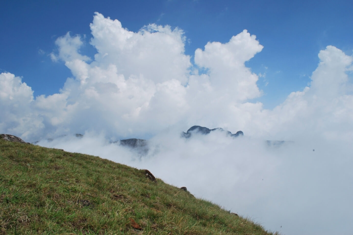 Mukurthi Peak Ooty (Entry Fee, Timings, Best Time to Visit, Location ...