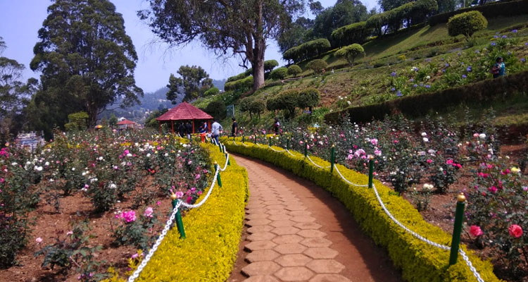 places to visit near rose garden ooty