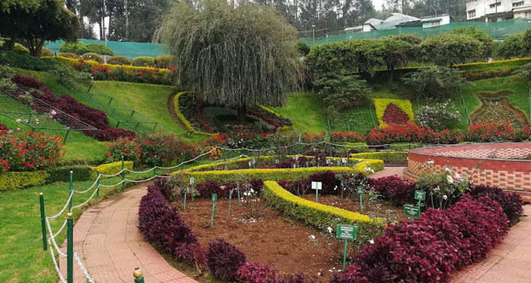 ooty tourist places ticket price