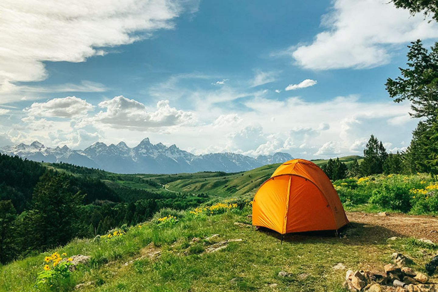 Camping by Tea Gardens