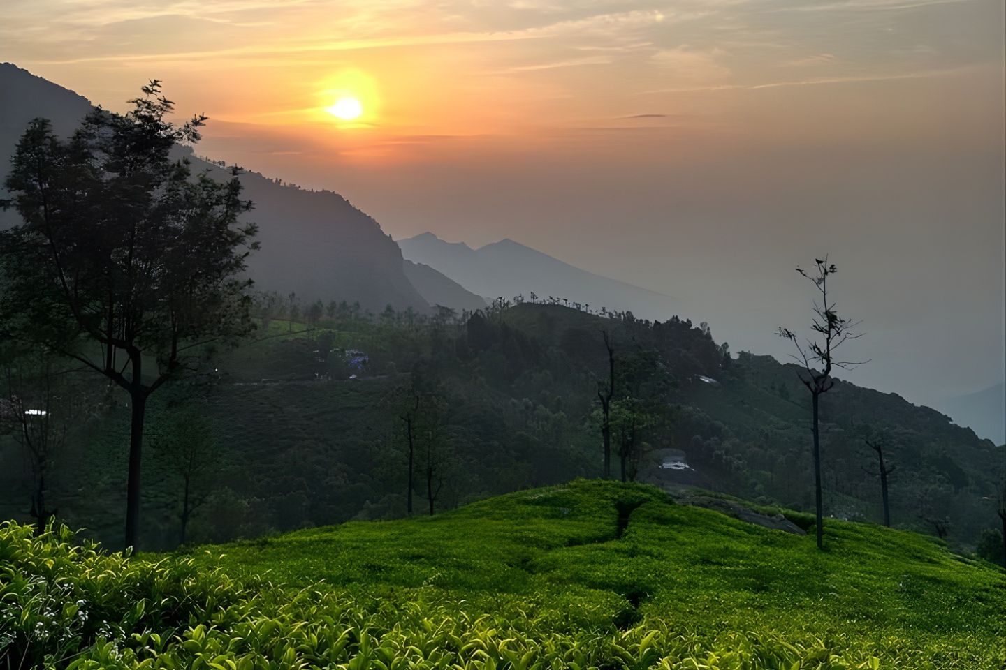 Best Time to Visit Ooty, India