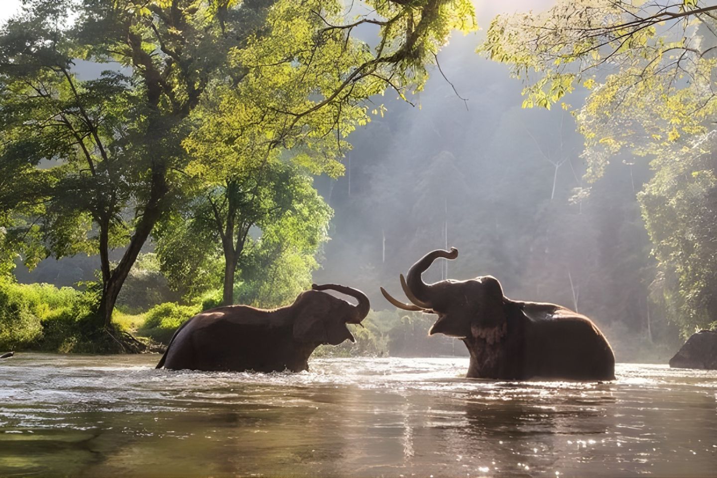 Flora & Fauna in Ooty, India