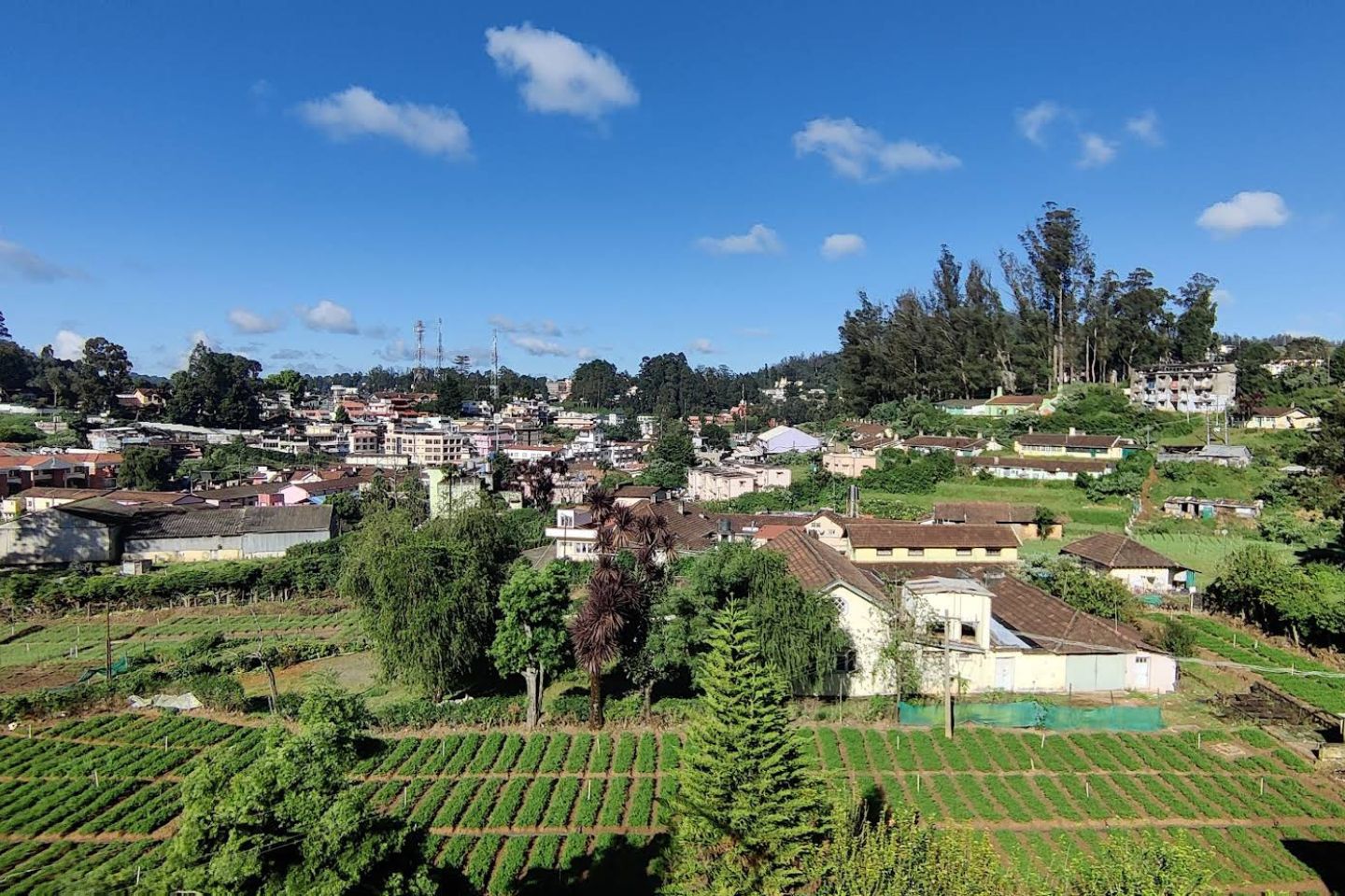 Luxury Ooty Tour Package for 1 Night & 2 Days