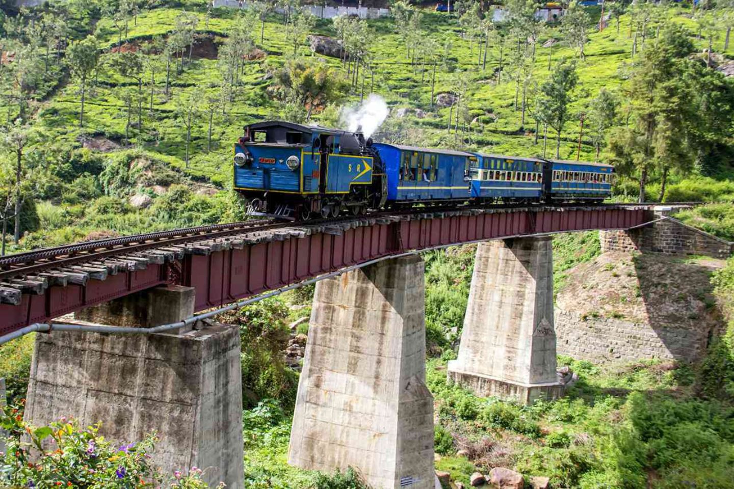 Mettupalayam to Coonoor Toy Train (Timings, Reservation, Ticket Booking & Fare)