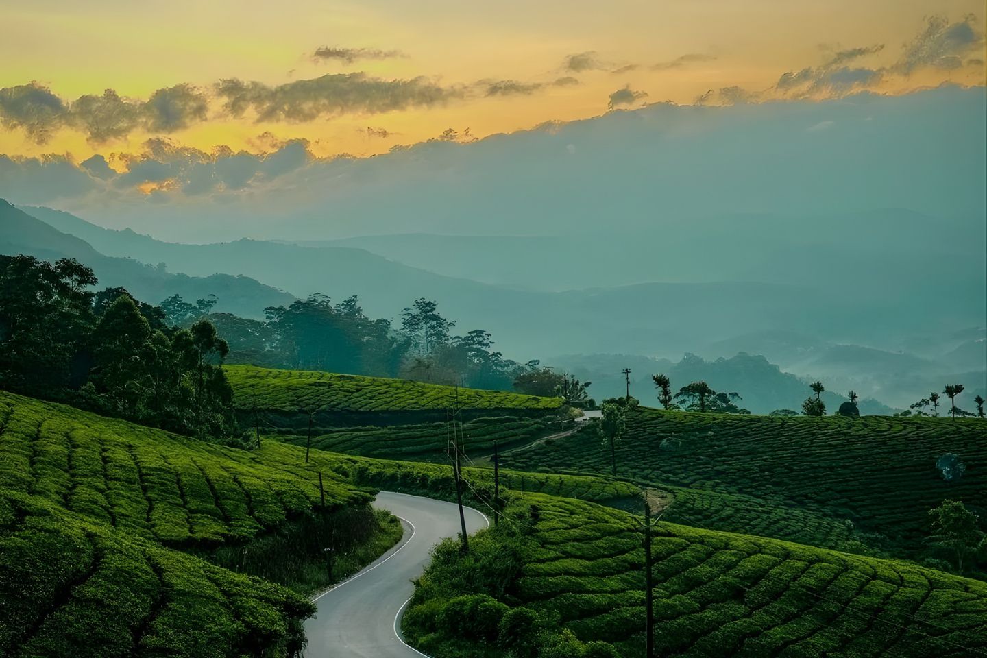 Ooty 4 Nights / 5 Days Tour Packages with Price & Itinerary