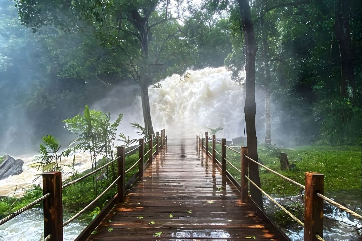 Delhi to Ooty Tour Packages with Price & Itinerary, Ooty Packages from Delhi