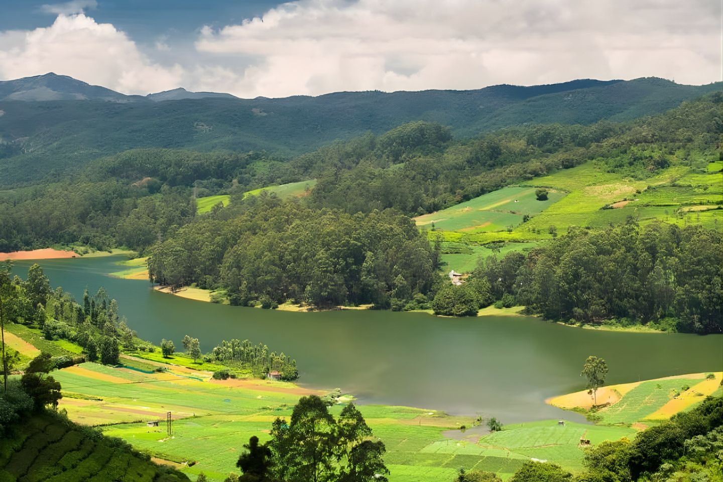 Ooty to Coonoor Toy Train (Timings, Reservation, Ticket Booking & Fare)