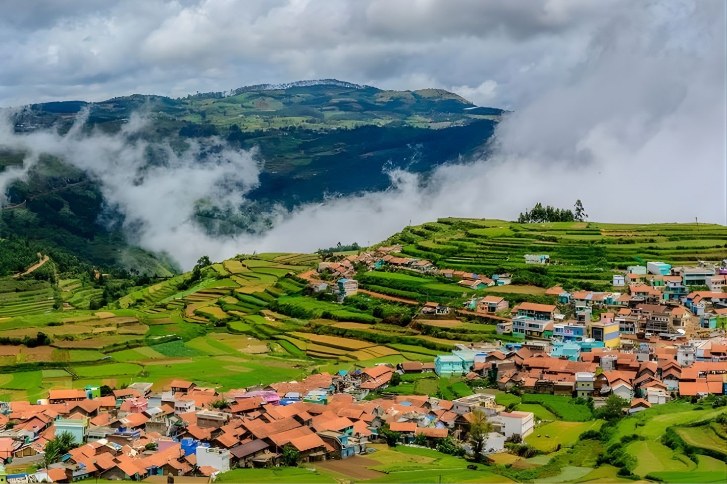 Ooty Tour Packages with Price & Itinerary, Tour Packages to Ooty