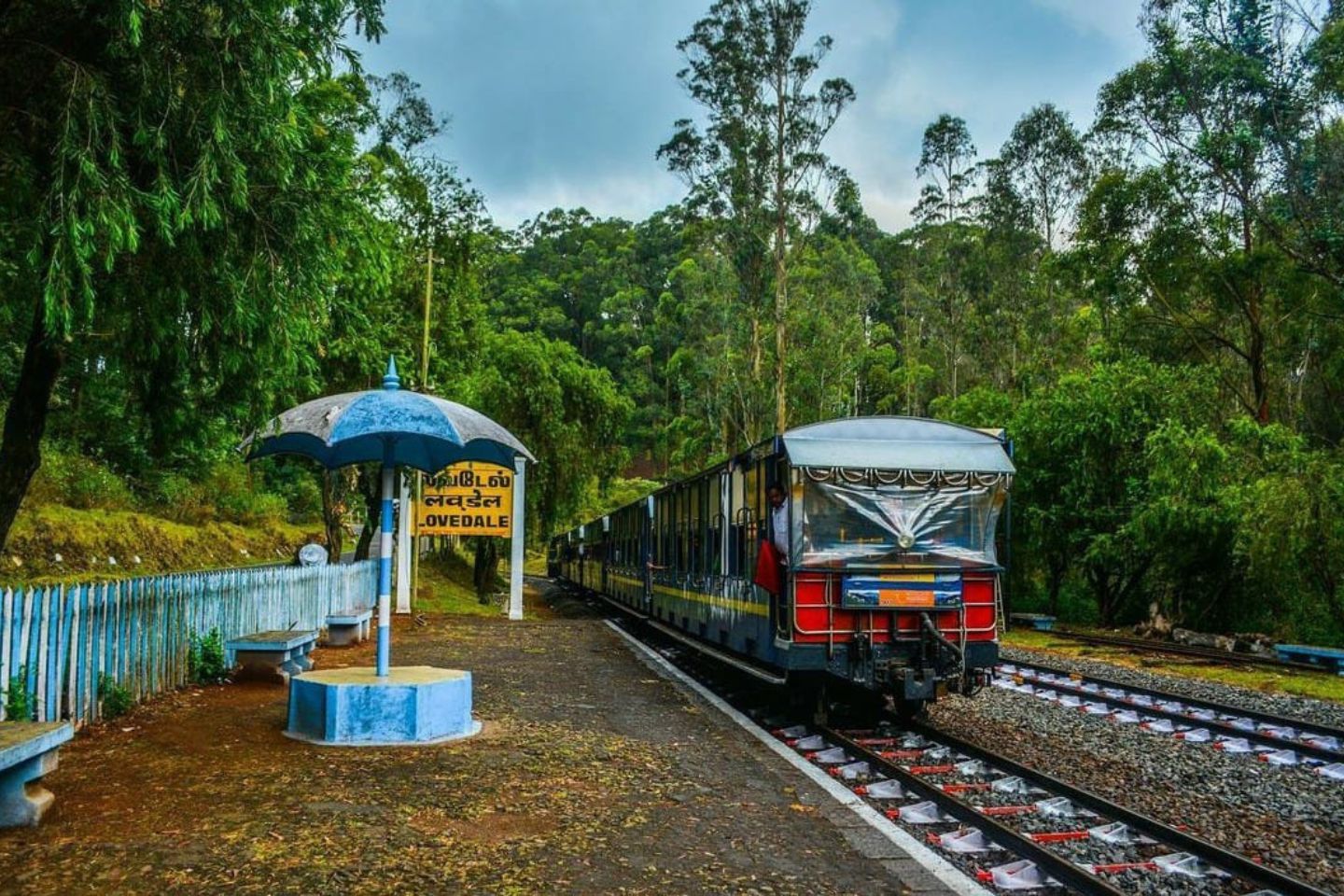 Train No: 56140  (Udagamandalam - Coonoor Passenger)  