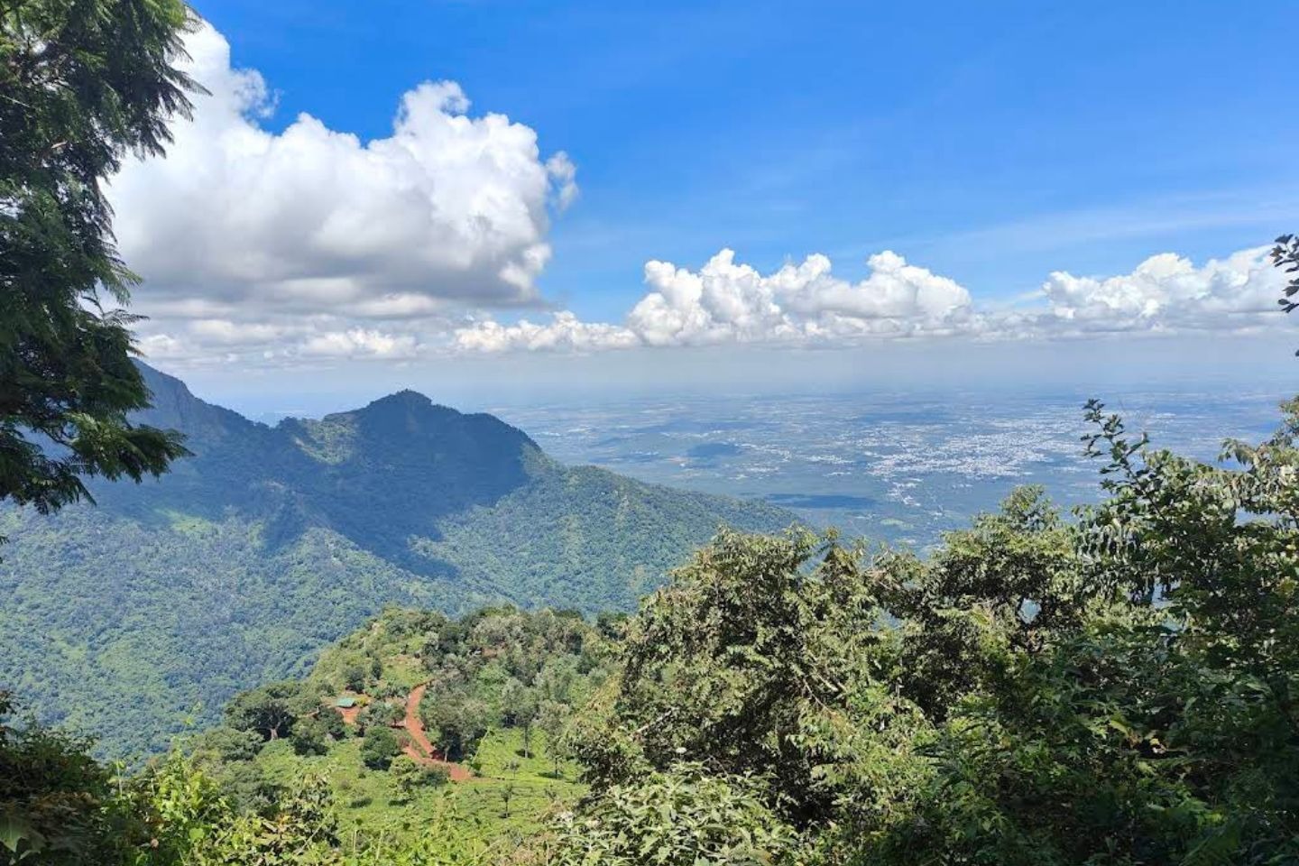 Dolphin’s Nose, Coonoor