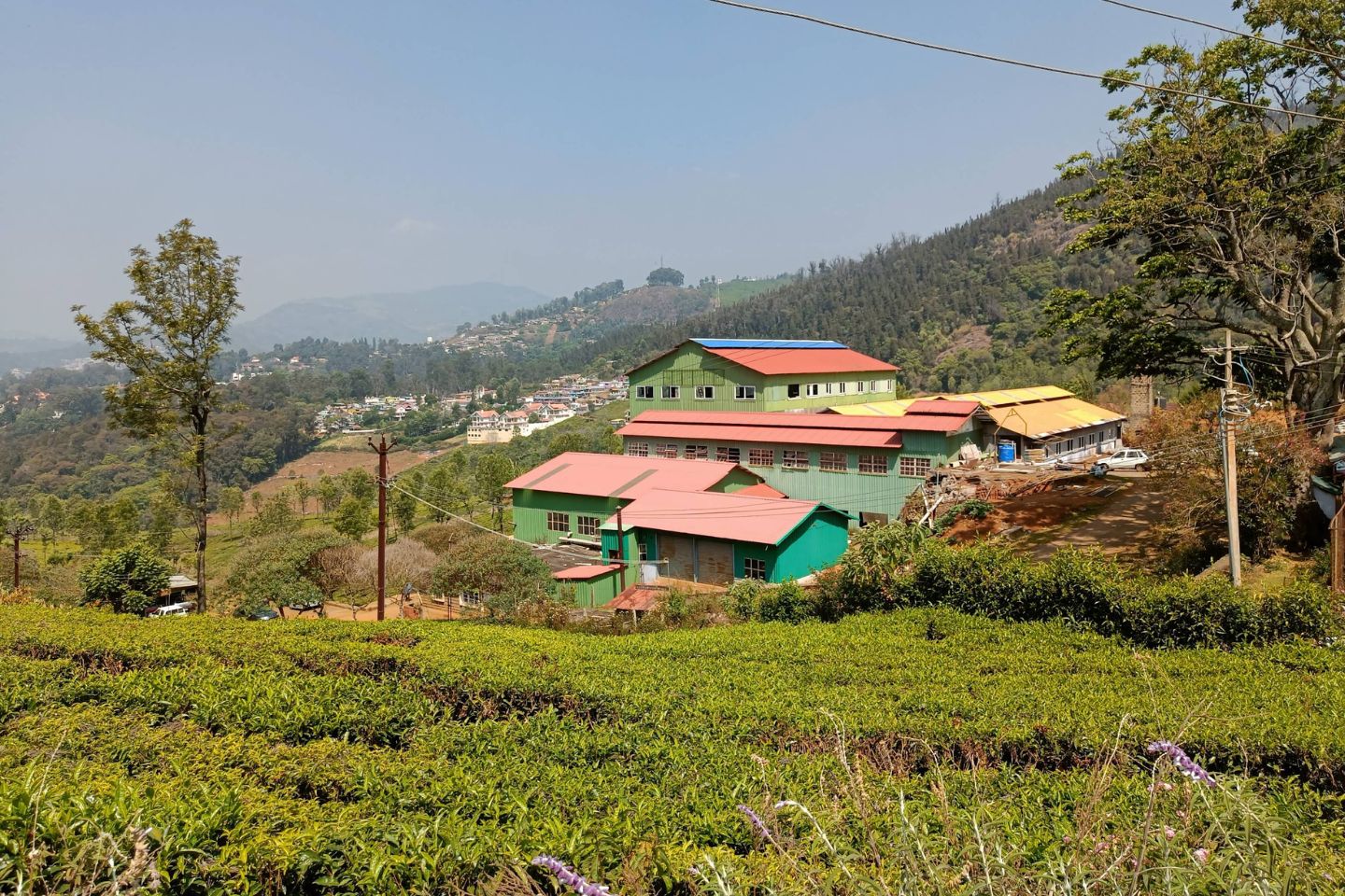 Highfield Tea Factory, Coonoor