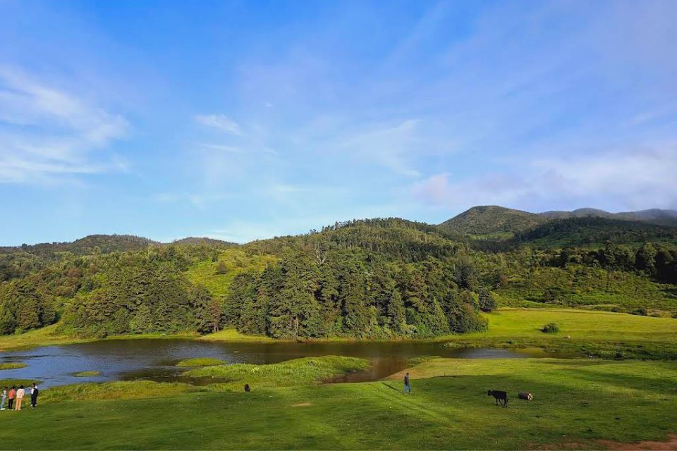 Mukurthi National Park