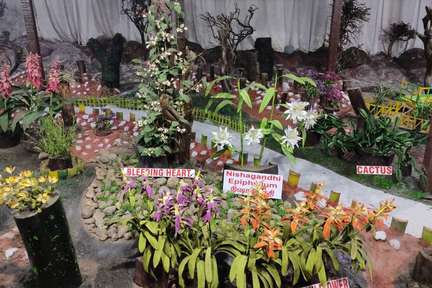 Ooty Thread Garden (Entry Fee, Timings, Entry Ticket Cost, Price) 