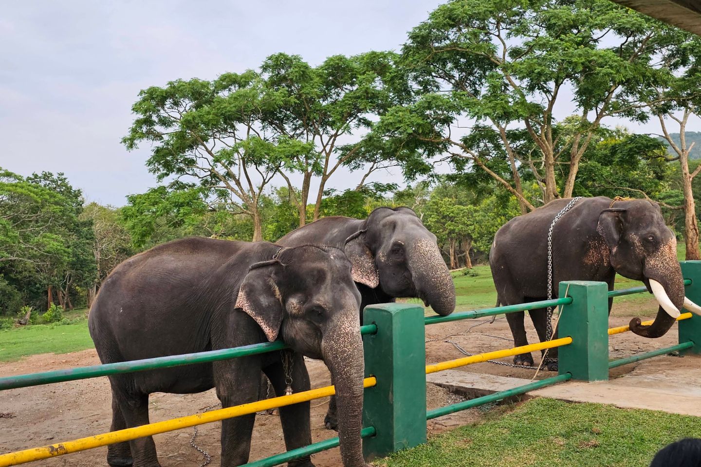 Places to Visit Ooty Stone House